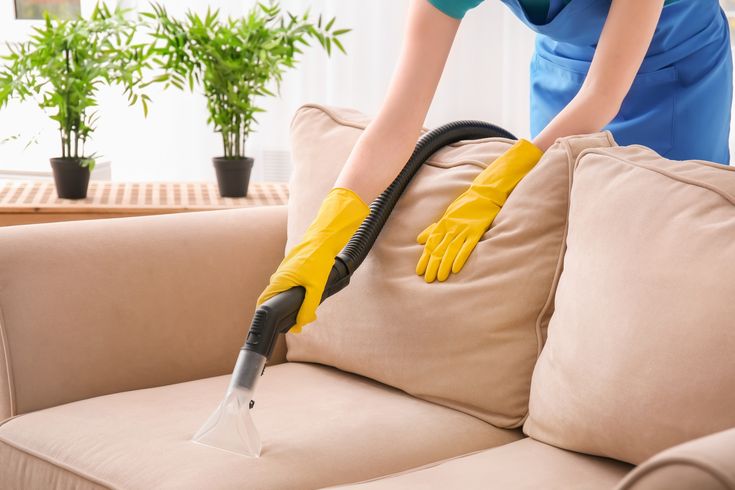 Person wearing gloves cleaning a beige sofa using a vacuum upholstery cleaner.