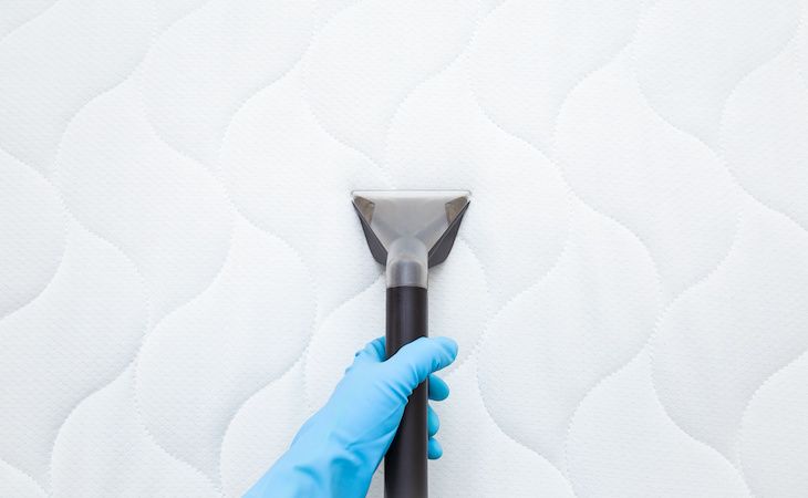 Person wearing gloves cleaning a mattress with an upholstery vacuum extractor